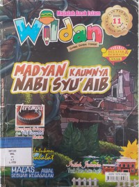 Wildan 11/XVII